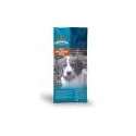 Chicopee puppy 2 kg
