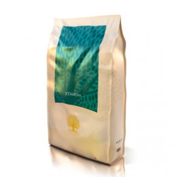 Essential Foods Stamina 12 kg