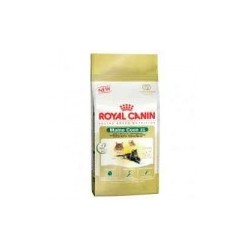Royal Canin Maine Coon Kitten 10 kg