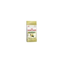 Royal Canin Maine Coon 10 kg