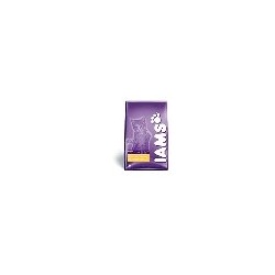 Iams kitten chicken 2,55 kg