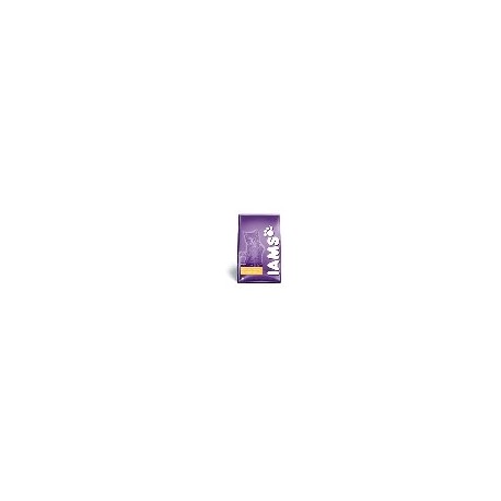 Iams kitten chicken 2,55 kg