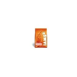 Iams cat lamb 3 kg